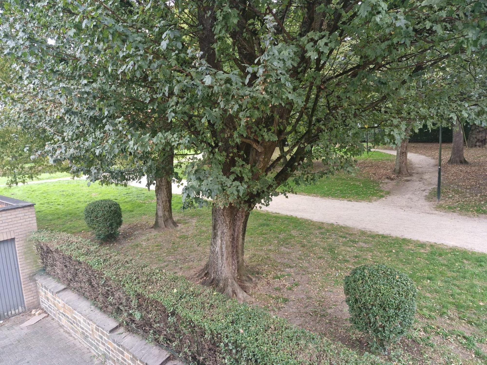 דירות Luxe Bruxelles מראה חיצוני תמונה